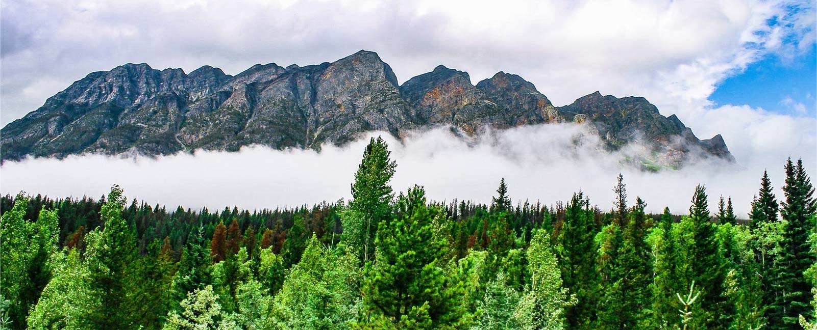 Zhejiang Zhongli Sentetik Malzemeler Technology Co., Ltd.